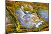 Rainbow Ridge Picture Agate-Darrell Gulin-Mounted Photographic Print