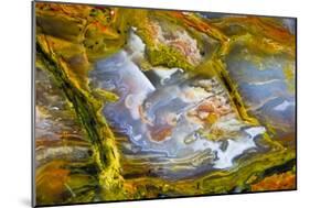 Rainbow Ridge Picture Agate-Darrell Gulin-Mounted Photographic Print