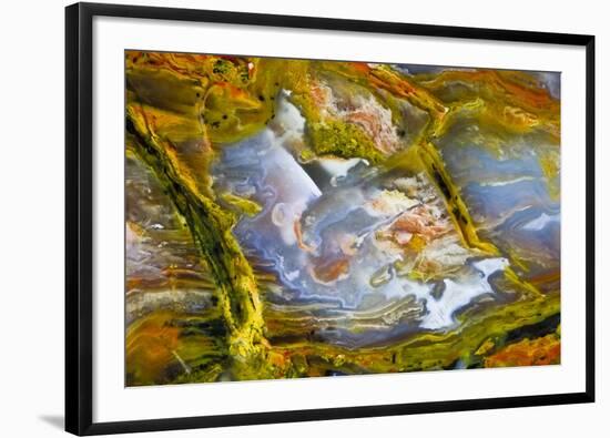 Rainbow Ridge Picture Agate-Darrell Gulin-Framed Photographic Print