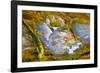 Rainbow Ridge Picture Agate-Darrell Gulin-Framed Photographic Print