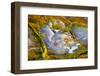 Rainbow Ridge Picture Agate-Darrell Gulin-Framed Photographic Print