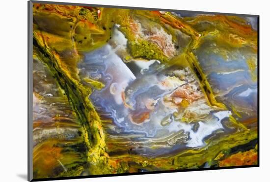 Rainbow Ridge Picture Agate-Darrell Gulin-Mounted Photographic Print