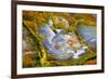 Rainbow Ridge Picture Agate-Darrell Gulin-Framed Photographic Print