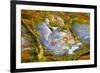 Rainbow Ridge Picture Agate-Darrell Gulin-Framed Photographic Print