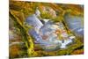 Rainbow Ridge Picture Agate-Darrell Gulin-Mounted Photographic Print