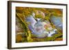 Rainbow Ridge Picture Agate-Darrell Gulin-Framed Photographic Print