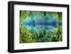 Rainbow river, Rainbow Springs State Park, Florida, USA. January-Michel Roggo-Framed Photographic Print