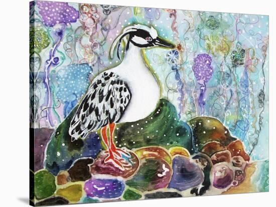 Rainbow Rock Little Heron-Lauren Moss-Stretched Canvas