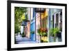 Rainbow Row I, Charleston South Carolina-George Oze-Framed Premium Photographic Print