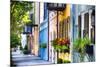 Rainbow Row I, Charleston South Carolina-George Oze-Mounted Premium Photographic Print