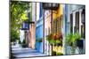Rainbow Row I, Charleston South Carolina-George Oze-Mounted Premium Photographic Print