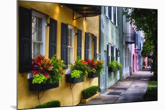 Rainbow Row II, Charleston South Carolina-George Oze-Mounted Photographic Print