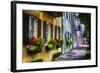 Rainbow Row II, Charleston South Carolina-George Oze-Framed Photographic Print