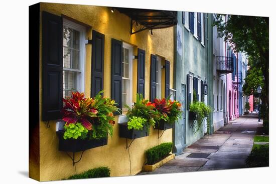 Rainbow Row II, Charleston South Carolina-George Oze-Stretched Canvas