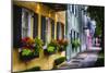 Rainbow Row II, Charleston South Carolina-George Oze-Mounted Premium Photographic Print