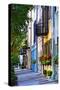 Rainbow Row III Charleston, South Carolina-George Oze-Stretched Canvas