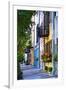 Rainbow Row III Charleston, South Carolina-George Oze-Framed Photographic Print