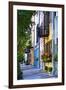 Rainbow Row III Charleston, South Carolina-George Oze-Framed Photographic Print