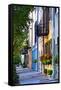 Rainbow Row III Charleston, South Carolina-George Oze-Framed Stretched Canvas