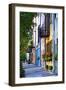 Rainbow Row III Charleston, South Carolina-George Oze-Framed Premium Photographic Print
