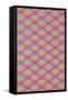 Rainbow Scales Pattern-null-Framed Stretched Canvas