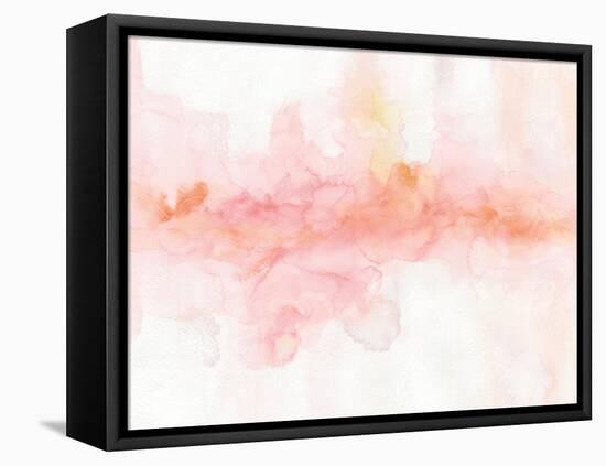 Rainbow Seeds Abstract-Lisa Audit-Framed Stretched Canvas