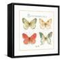 Rainbow Seeds Butterflies III-Lisa Audit-Framed Stretched Canvas