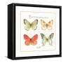 Rainbow Seeds Butterflies III-Lisa Audit-Framed Stretched Canvas