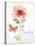 Rainbow Seeds Floral IX Family-Lisa Audit-Stretched Canvas