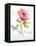 Rainbow Seeds Floral VI Faith-Lisa Audit-Framed Stretched Canvas