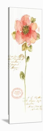 Rainbow Seeds Loose Floral IV-Lisa Audit-Stretched Canvas