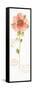 Rainbow Seeds Loose Floral IV-Lisa Audit-Framed Stretched Canvas