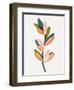 Rainbow Spectrum Vine-null-Framed Art Print