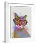 Rainbow Splash Cat 1-Fab Funky-Framed Art Print