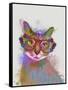 Rainbow Splash Cat 1-Fab Funky-Framed Stretched Canvas
