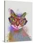 Rainbow Splash Cat 1-Fab Funky-Stretched Canvas