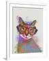 Rainbow Splash Cat 1-Fab Funky-Framed Art Print