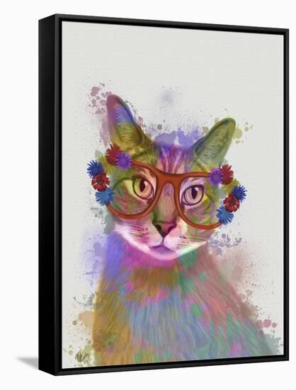 Rainbow Splash Cat 1-Fab Funky-Framed Stretched Canvas