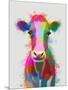 Rainbow Splash Cow-Fab Funky-Mounted Art Print