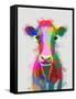 Rainbow Splash Cow-Fab Funky-Framed Stretched Canvas