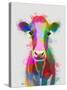 Rainbow Splash Cow-Fab Funky-Stretched Canvas