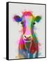Rainbow Splash Cow-Fab Funky-Framed Stretched Canvas