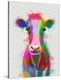 Rainbow Splash Cow-Fab Funky-Stretched Canvas