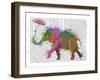 Rainbow Splash Elephant-Fab Funky-Framed Art Print