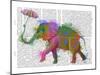 Rainbow Splash Elephant-Fab Funky-Mounted Art Print