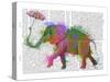 Rainbow Splash Elephant-Fab Funky-Stretched Canvas