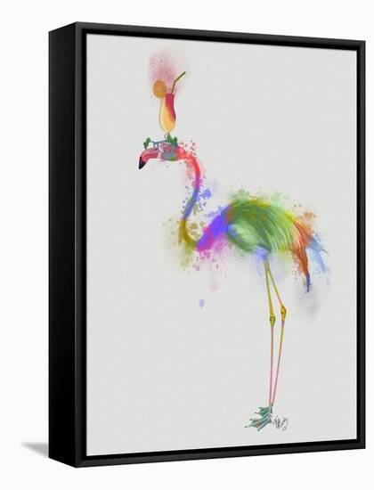 Rainbow Splash Flamingo 1-Fab Funky-Framed Stretched Canvas