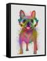 Rainbow Splash French Bulldog, Full-Fab Funky-Framed Stretched Canvas