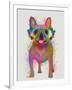 Rainbow Splash French Bulldog, Full-Fab Funky-Framed Art Print