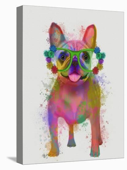 Rainbow Splash French Bulldog, Full-Fab Funky-Stretched Canvas